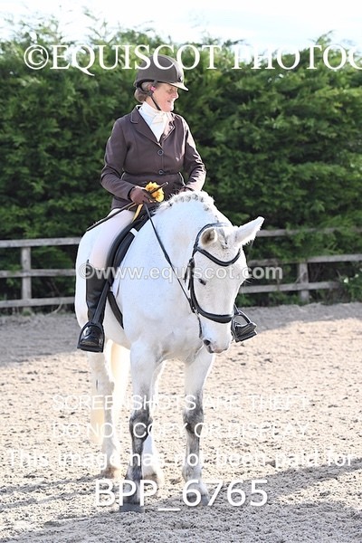 BPP_6765 - RING 1  (RIDDEN HORSES / IN HAND / VETERAN ETC)
