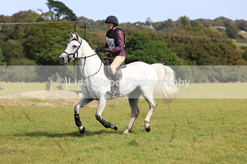 3E7A6774 - Class 2: Trekenning Open: Yellow Boat