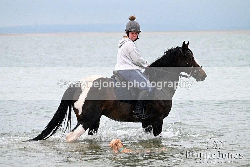 WJ7_9943 - Hayling Island Beach Shoot 22-09-24