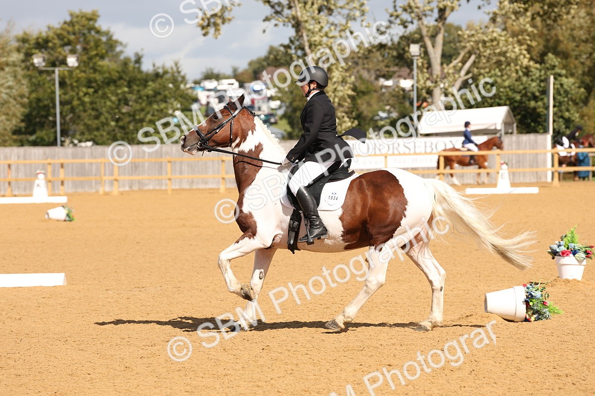 SBM_02310 - D10 - Small Tour Championship Prelim 2