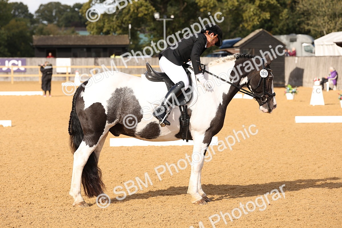 SBM_24704 - D17 - Grand Tour Championship Novice 3
