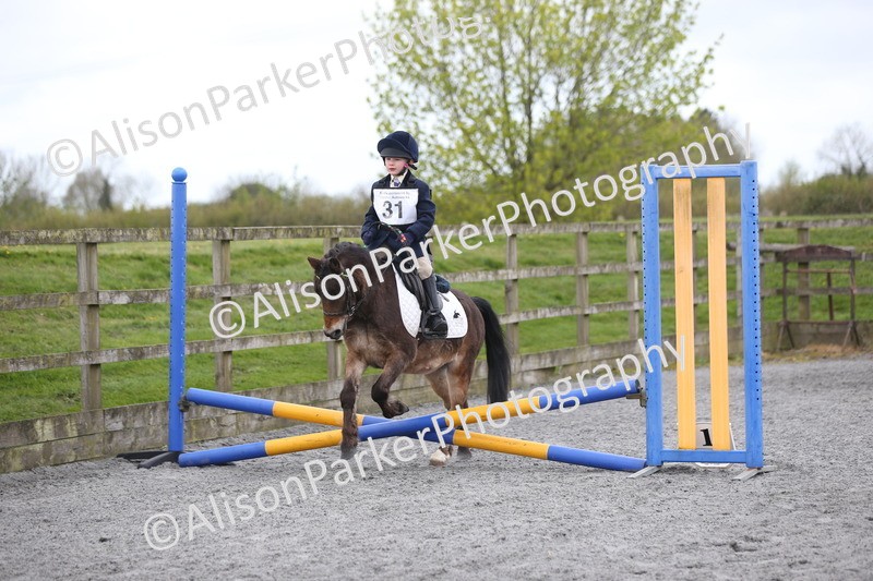 20260412-0166 - Show Jumping