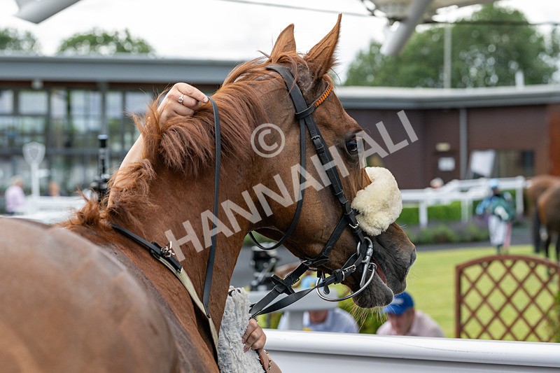 090725-Race 1-Without Delay-2495 - Race 1