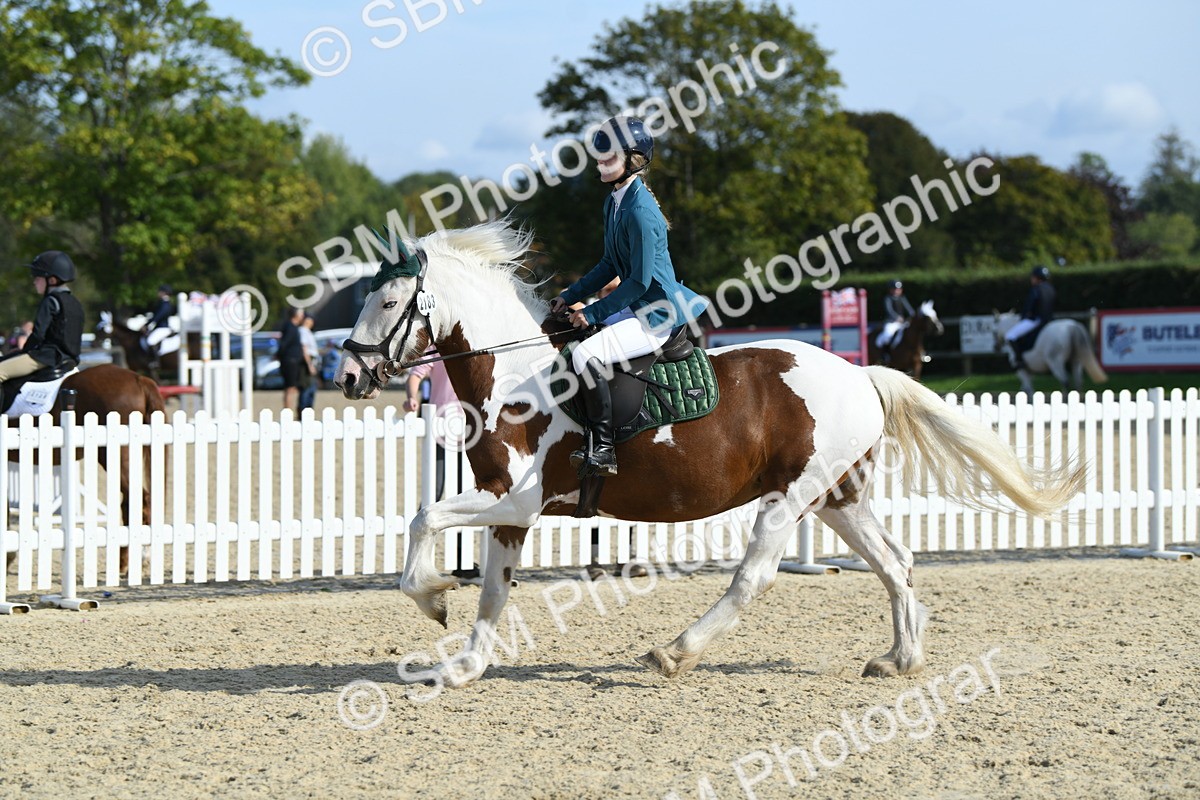 SBM_61583 - j25 - Junior Horse 80cm Championship