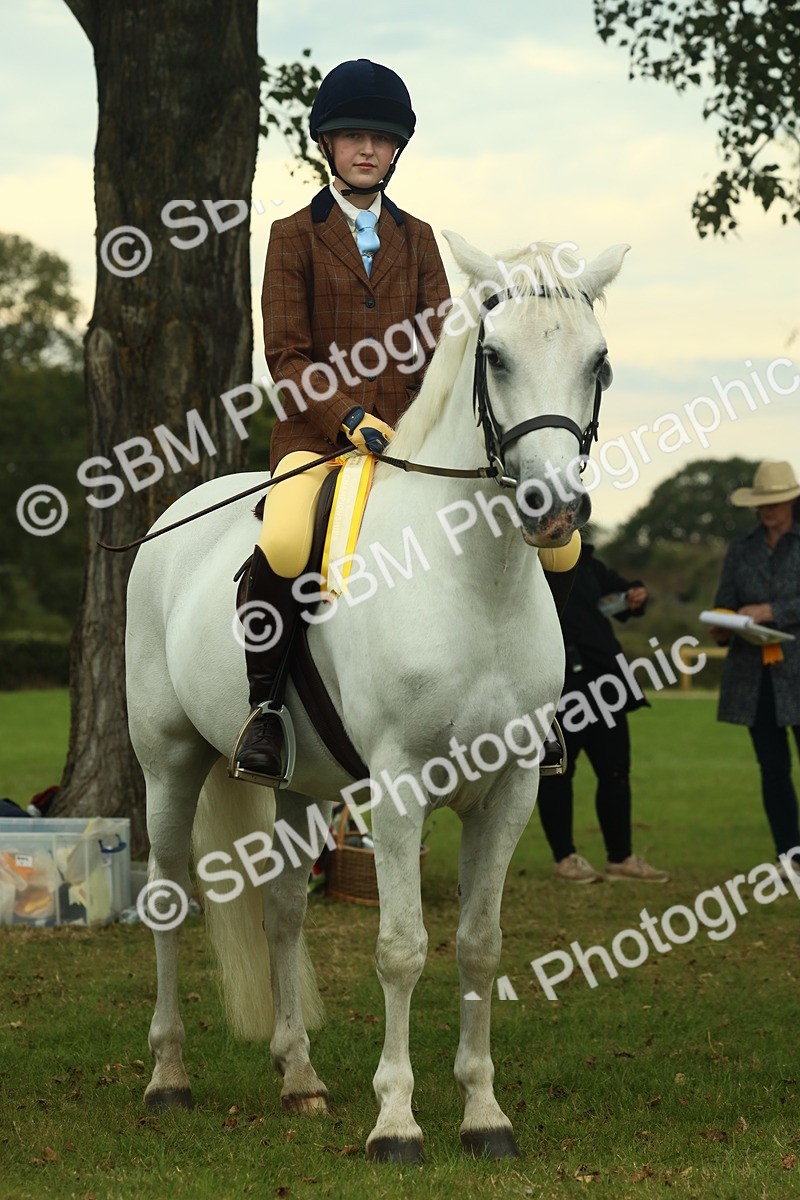 SBM_72330 - S60 - Mountain & Moorland Ridden Large Breeds