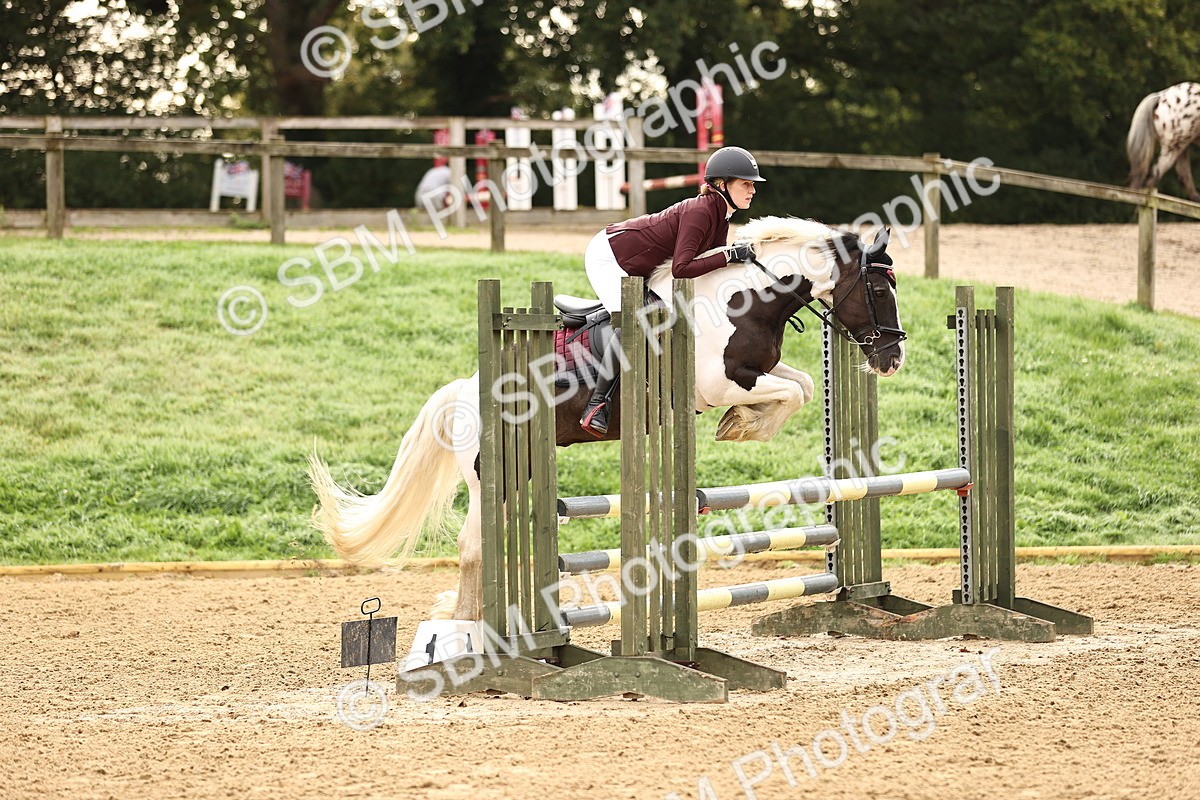 SBM_58205 - J41 - Grand Tour Horse & Pony 95cm