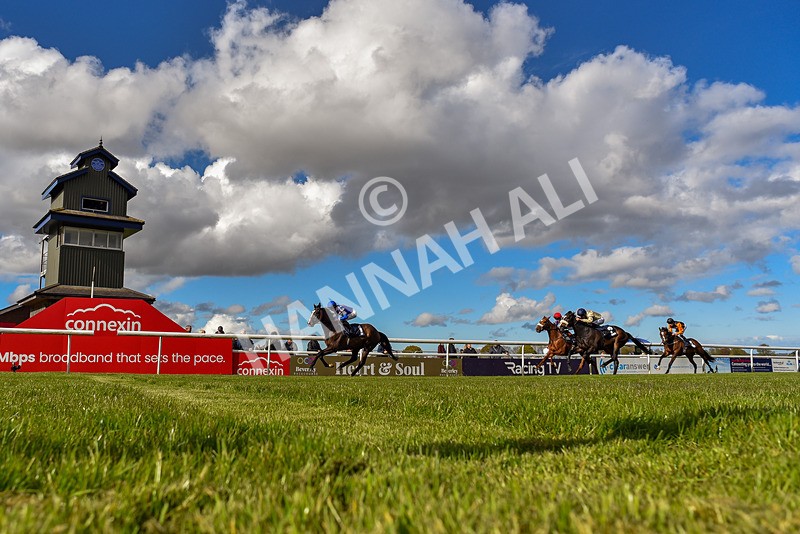 250424-Race 5-Arthurs Realm-3936 - Race 5