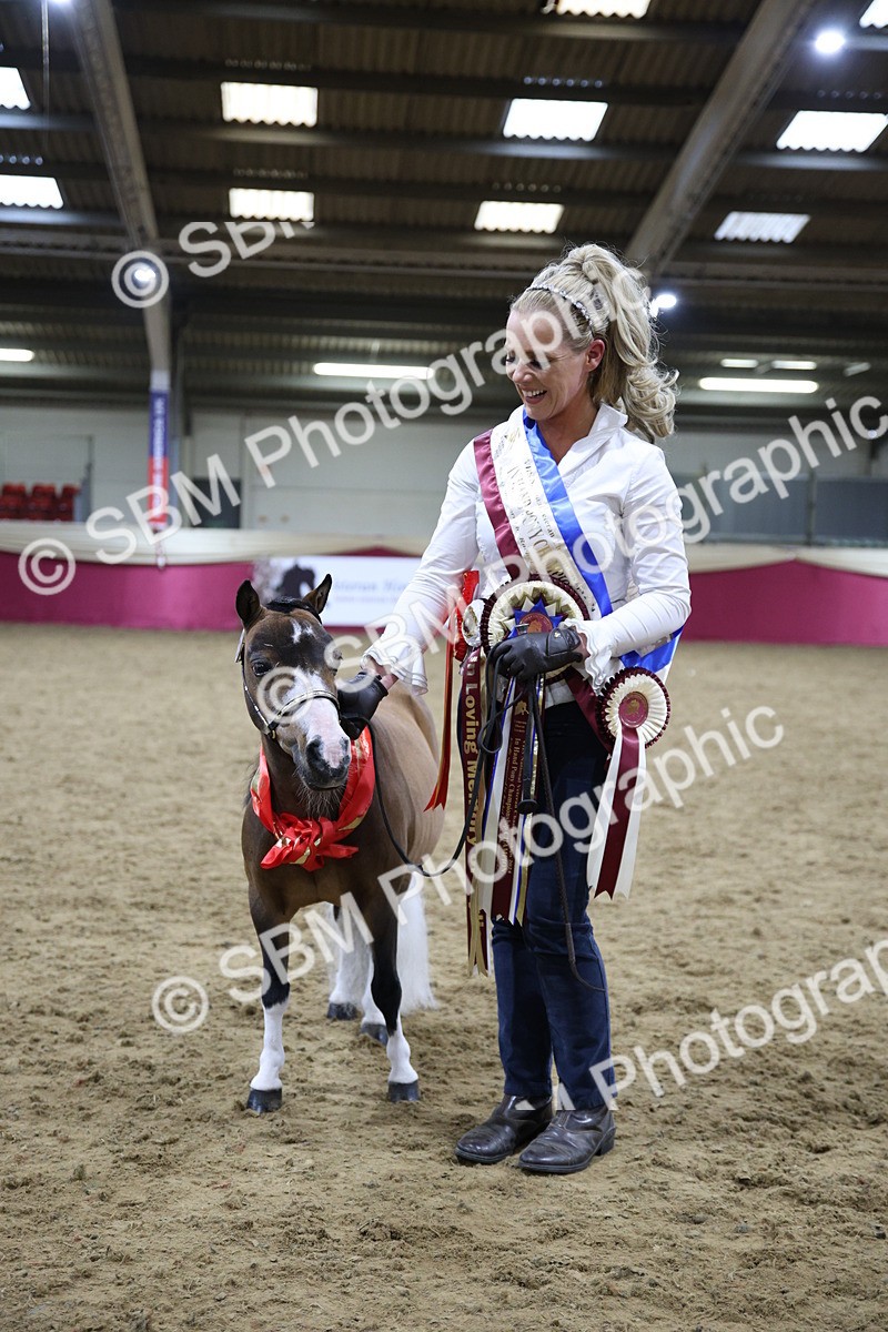 SBM_18779 - Class D IH Pony Champ