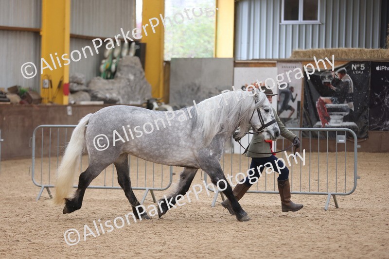 20251109-1123 - Championship