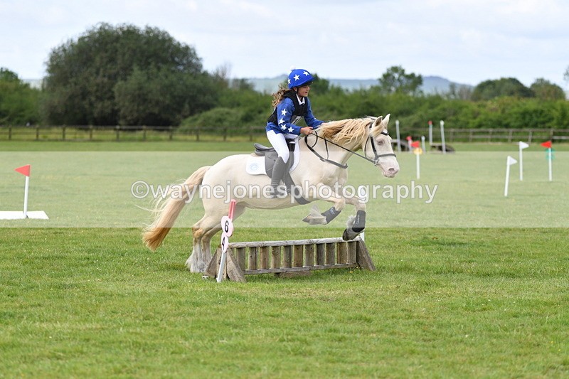 WJ5_2721 - Class 2 40cm