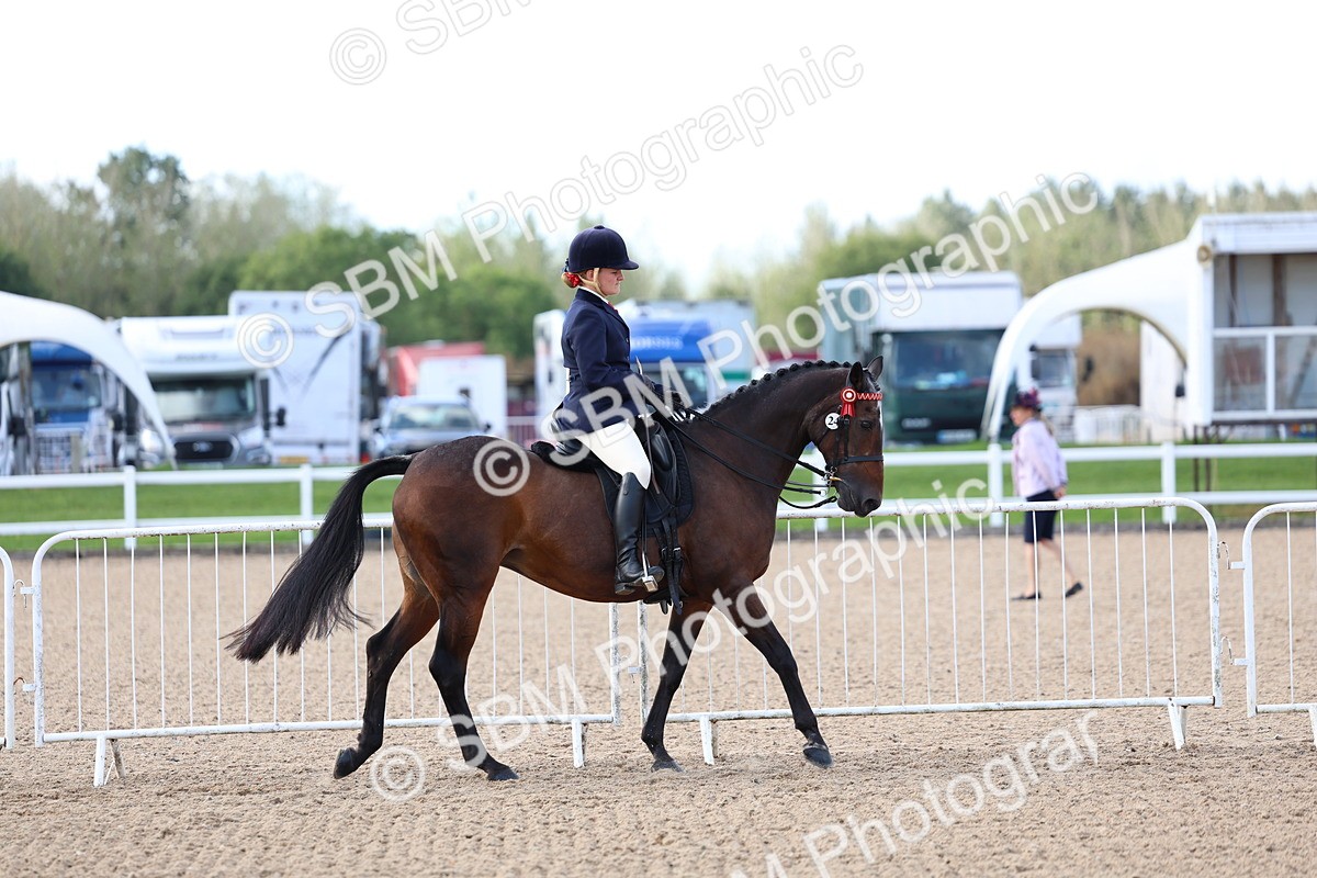 SBM_09096 - Class 303 - Ridden Pure Bred Horse Pony