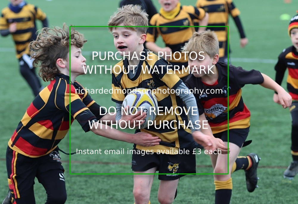 IMG_1939 - Kendal Junior Rugby U9 vs Kirkby Lonsdale U9 (14/1/24)
