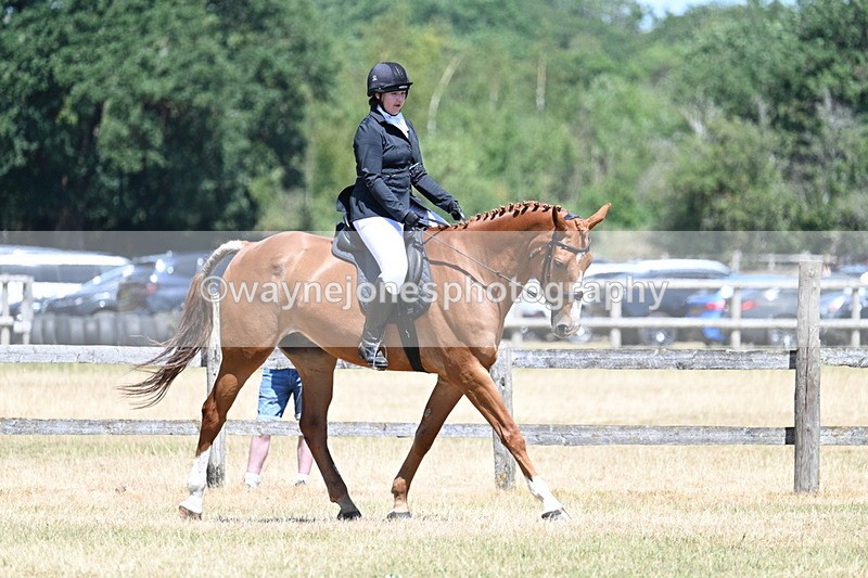 WJ7_2903 - Class 7 Riding Club Show Horse