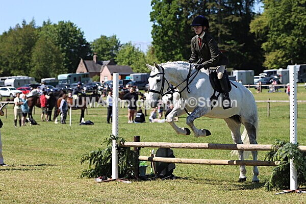 IMG_3964 - Working Hunter