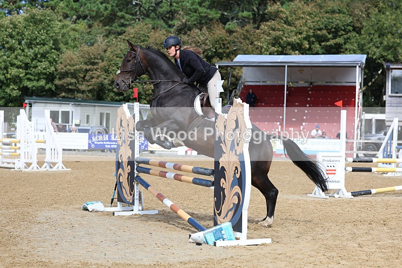 3E7A9139 - Class 9: Senior British Novice/90cm open