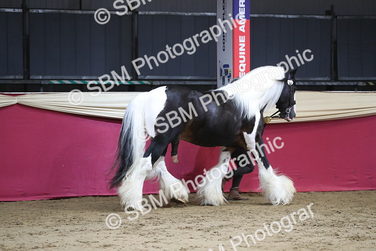SBM_06356 - Class 9R Regional- IH Pre Vet