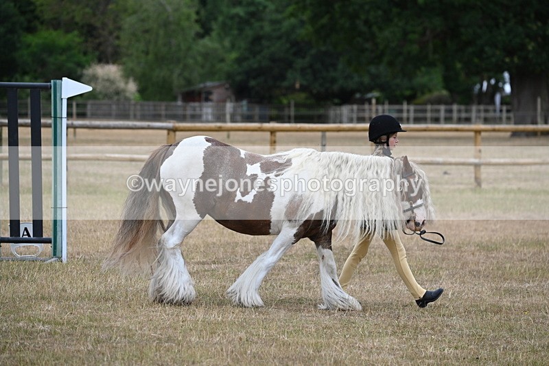 WJ6_7855 - Class 10 Coloured in Hand