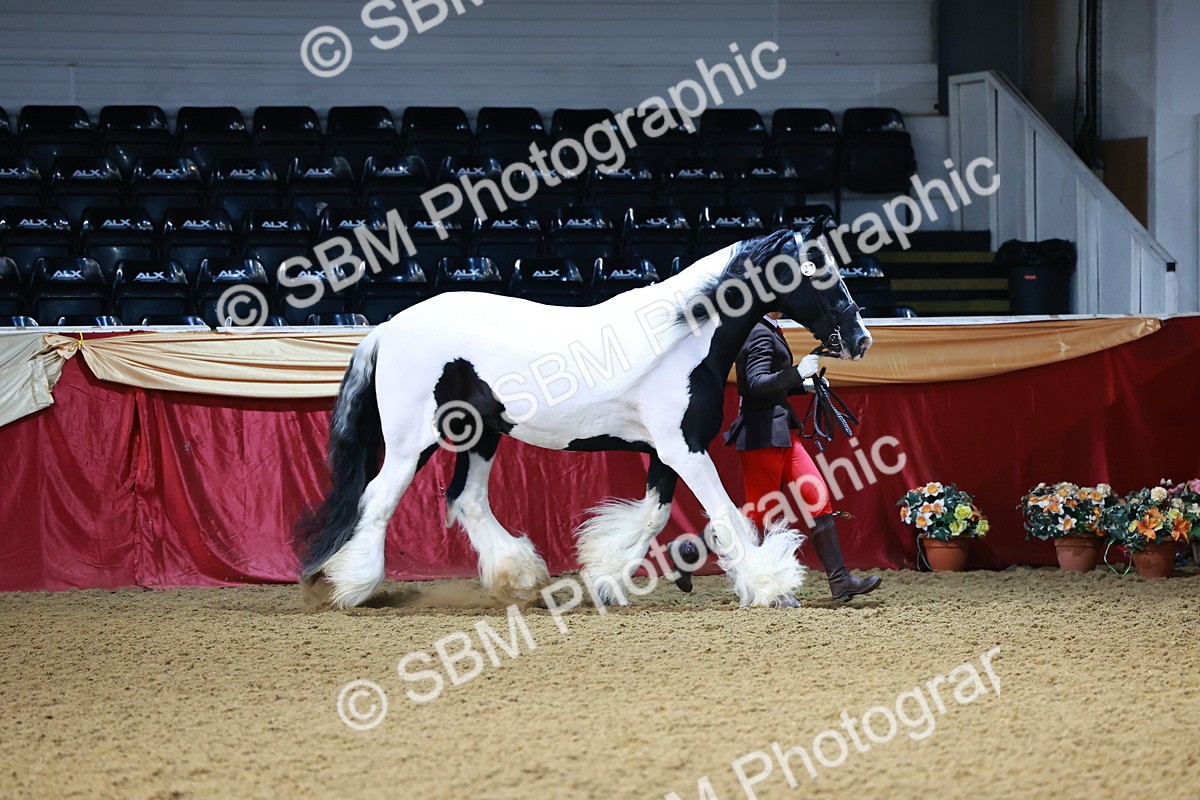 SBM_21685 - Class 901 - Supreme Final - IH  Diamond