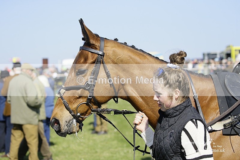 PtP 190322 142 - Wilton Hunt PtP Milborne St Andrew 19/03/22