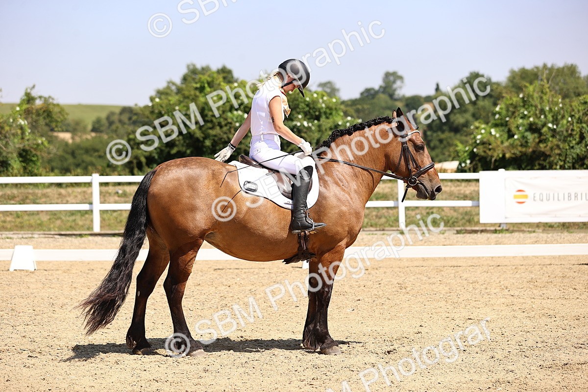SBM_004017 - Intro 2