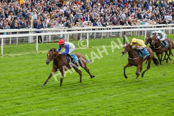 230923-Race 1-Invincible Molly-5189 - Race 1 2.00pm Jigsaw Sports Branding EBF Fillies' Novice Stakes
