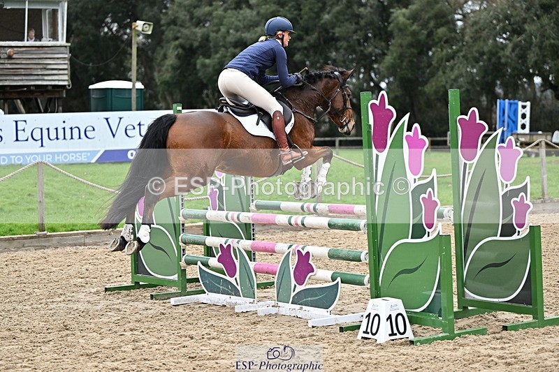 250201A-094410-00052 - Cls 01 Local Horse 90cm