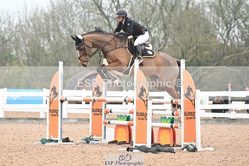 241102A-101113-03720 - SAT Cls 14 Blue Chip Joint Care Power Champ Quali