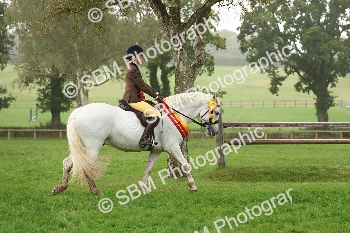 SBM_73189 - Super Supreme Championship(Sun)