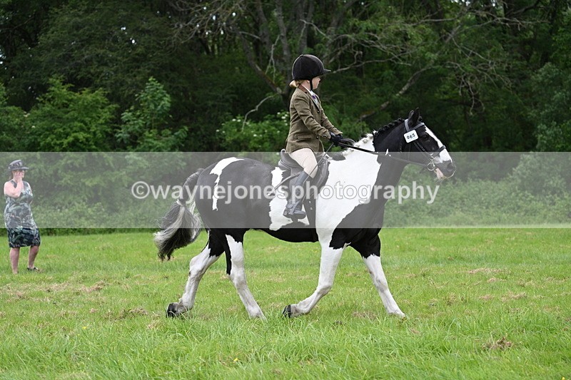 WJ7_2088 - Class 12A Coloured Class