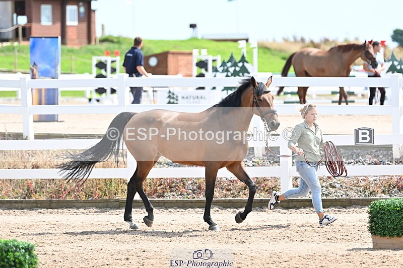 240717A-145219-02357 - Trot Up 2pm to 3pm - This folder is not in time order