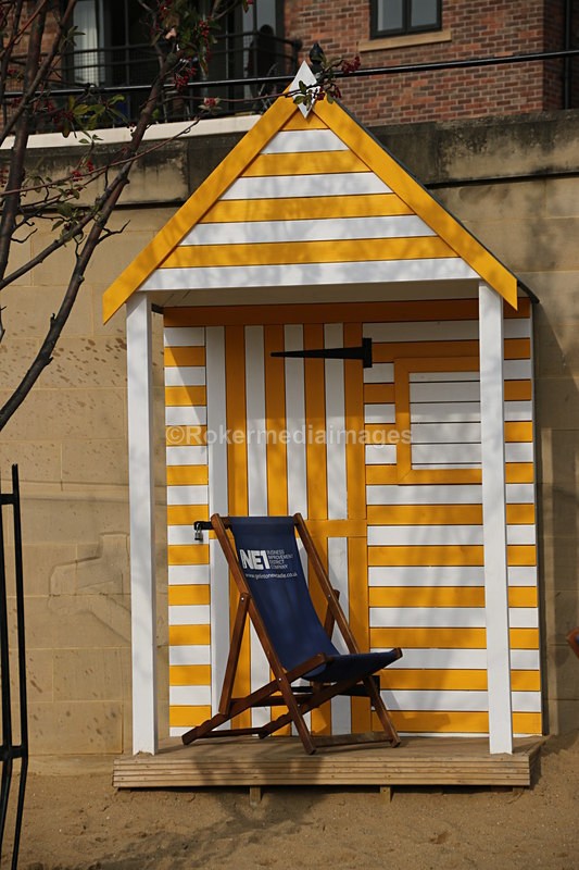 IMG_6035 - Out N about