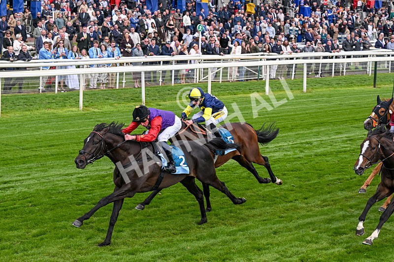 150526-Race 7-Portcullis-0413 - Race 7 5.15pm Darley EBF 'Confined' Novice Stakes