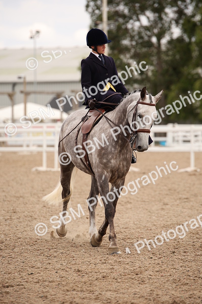 SBM_05491 - Class 22 SSA Equitation