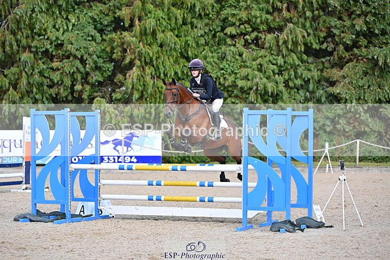 250802A-171452-08294 - H-353-Nancy.Wilson.Connell-BLUESTONE.BUTTERFLY