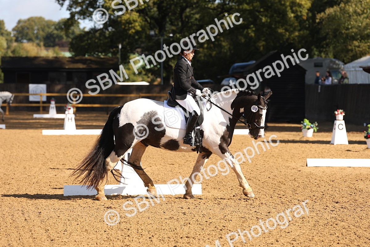 SBM_37650 - D18 - Grand Tour Championship Novice 2