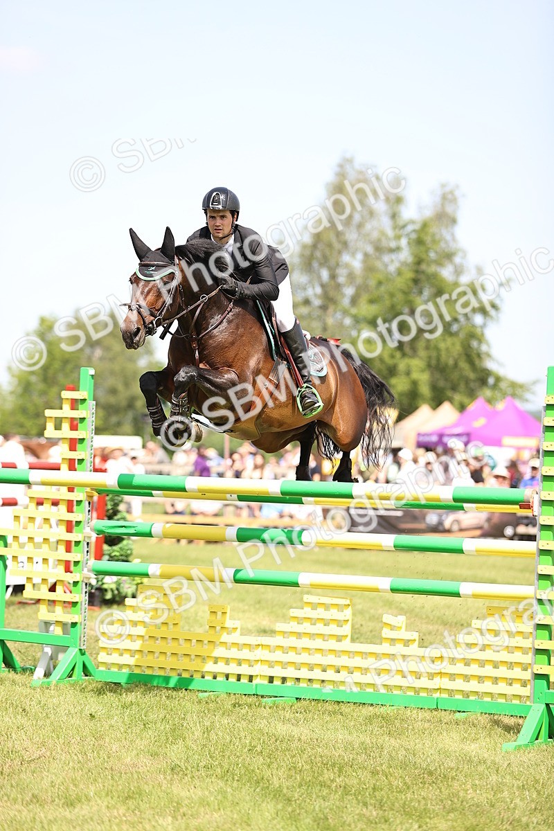 SBM_03993 - Class 201 - British Horse Feedds Speedi Beet HOYS Grade C
