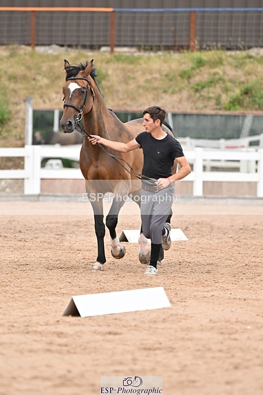 250716-161847-02551 - Trot Up 3.30 to 4.30