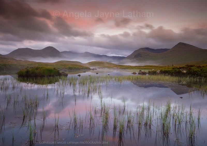 Scotch Mist