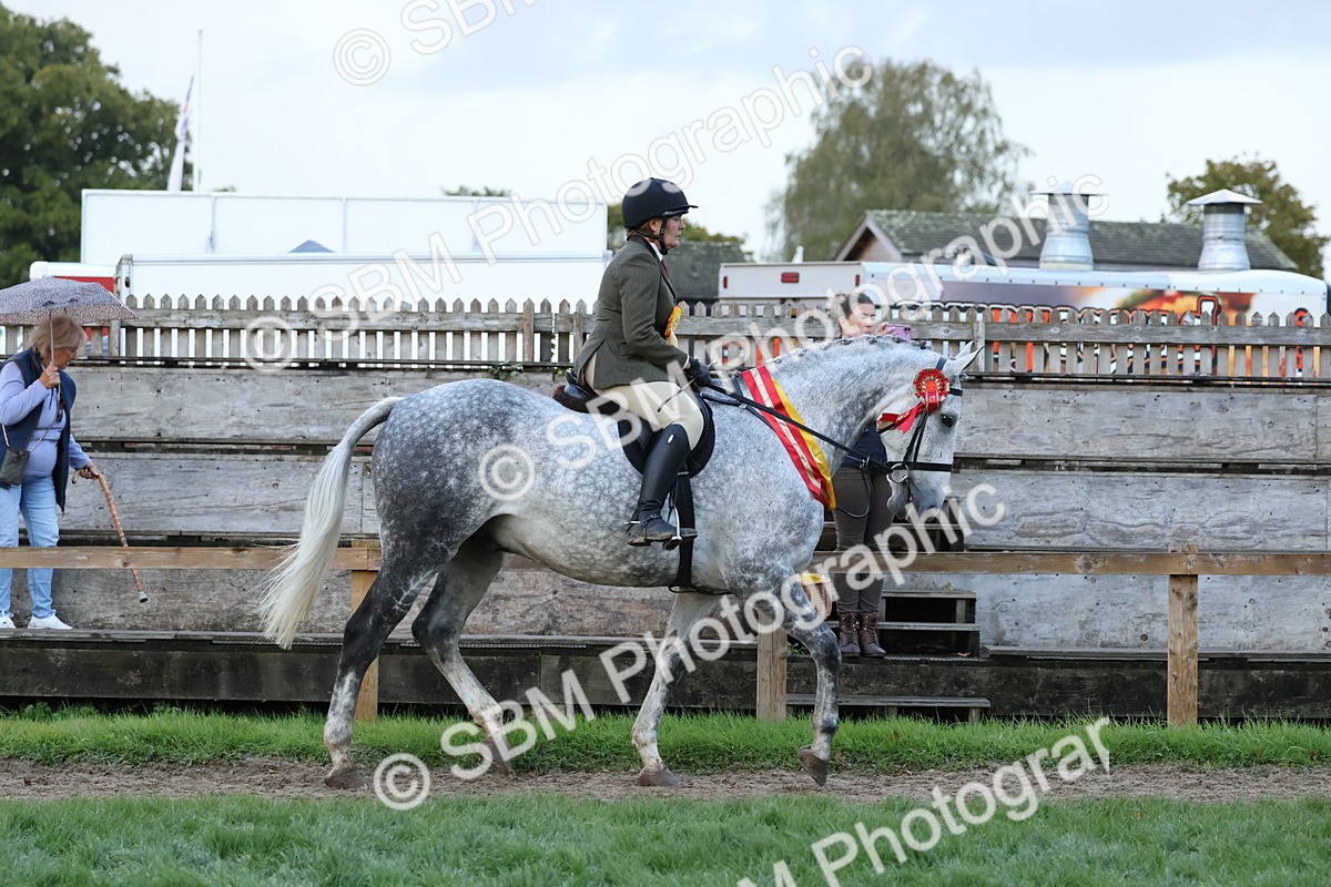 SBM_53413 - Super Supreme Championship (Sat)