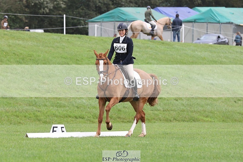 231019-104615-02430 - 606-GOLDEN.HEART.BREAKER-Emily.R.Vincent-DR