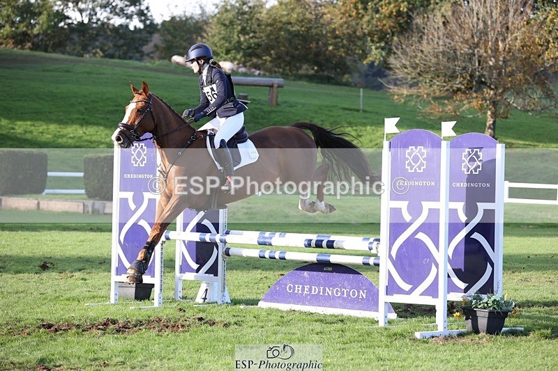 231022-160410-30087 - 556-SHANNONDALE.MOCHA-Lucy.Davies-TrotUp+SJ