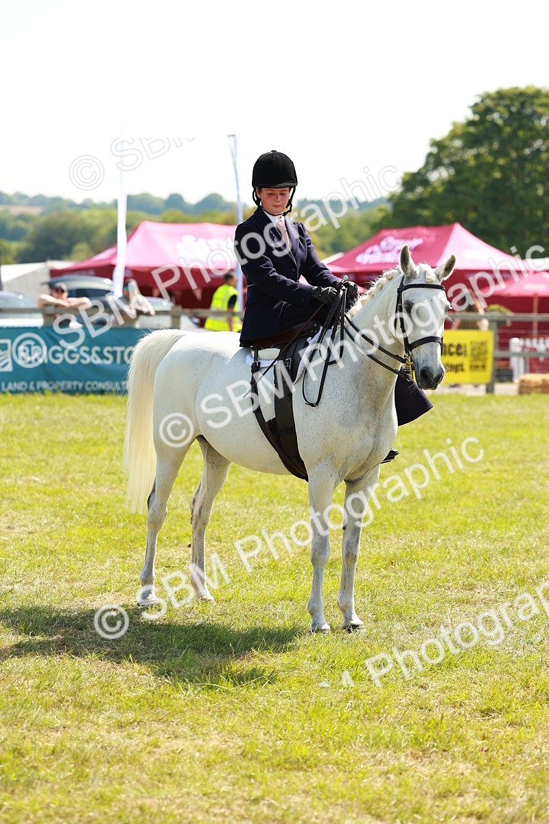 SBM_13377 - Class 70-71 - Side Saddle