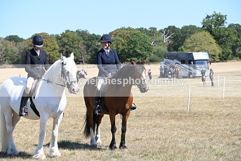 WJ6_8387 - Class 37a Best Loan Pony Ridden
