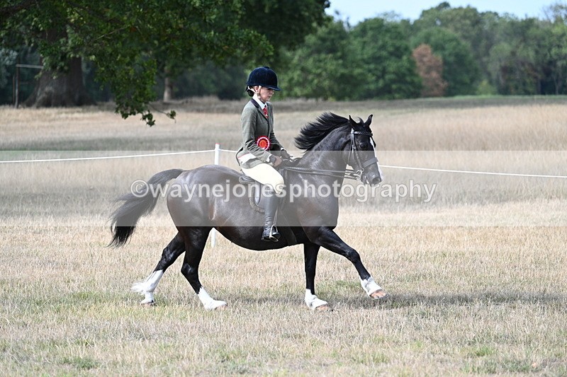 WJ7_7701 - Ridden Championship