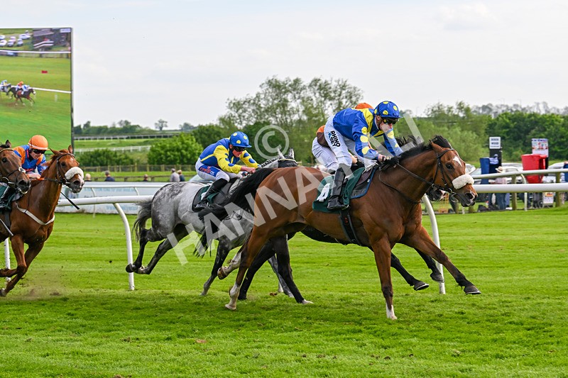 130524-Race 7-Hail Sezer-1077 - Race 7