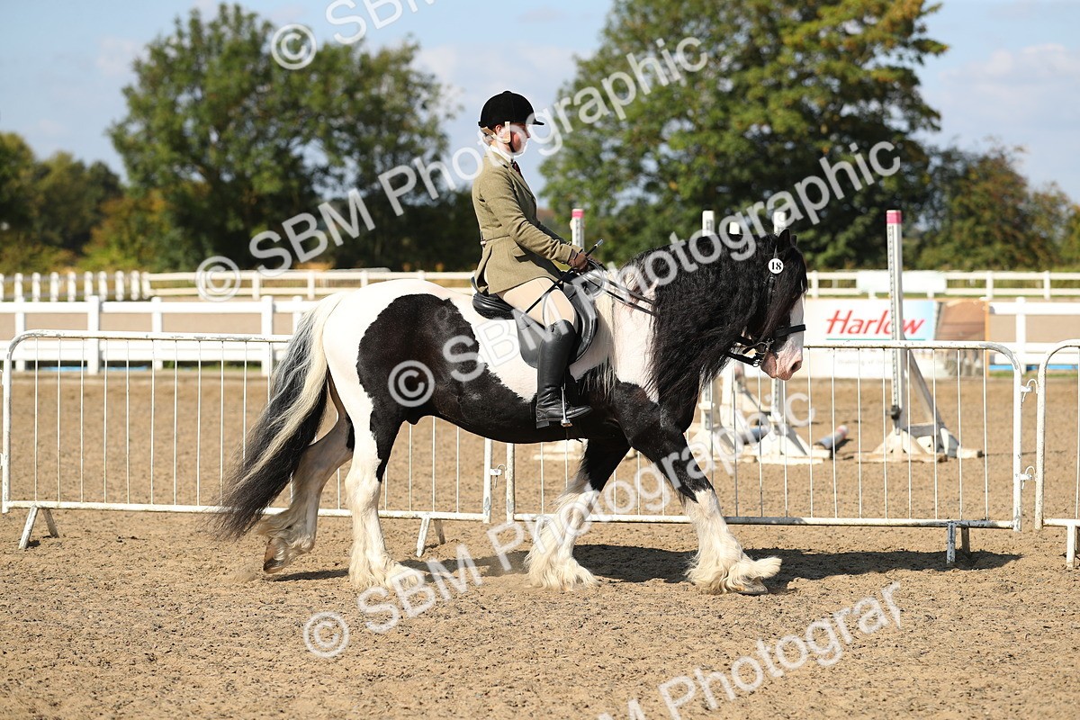 SBM_03101 - Class 44 Riding Club Horse/ Pony