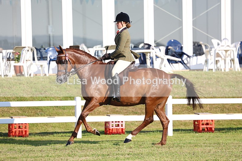 3E7A5003 - Class 1: Rising Star Small Hack/Riding Horses