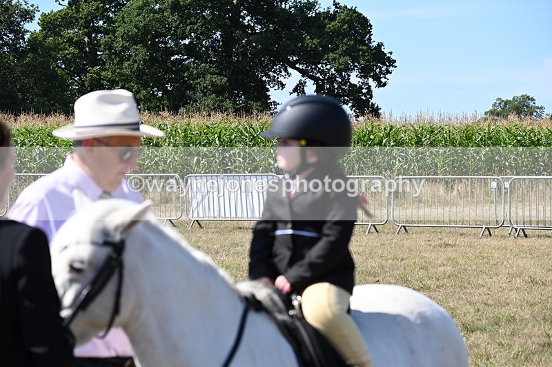 WJ6_7867 - Class 36 Lead Rein