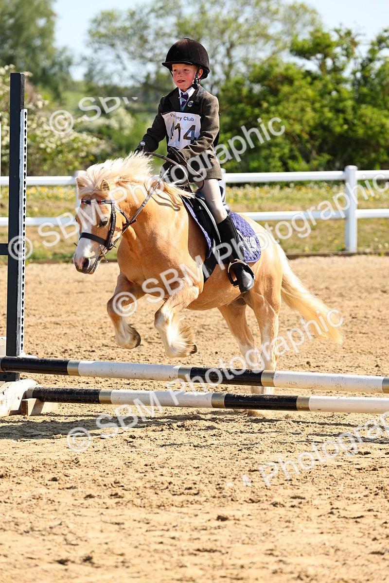 SBM_006686 - Class 2 - 50cm