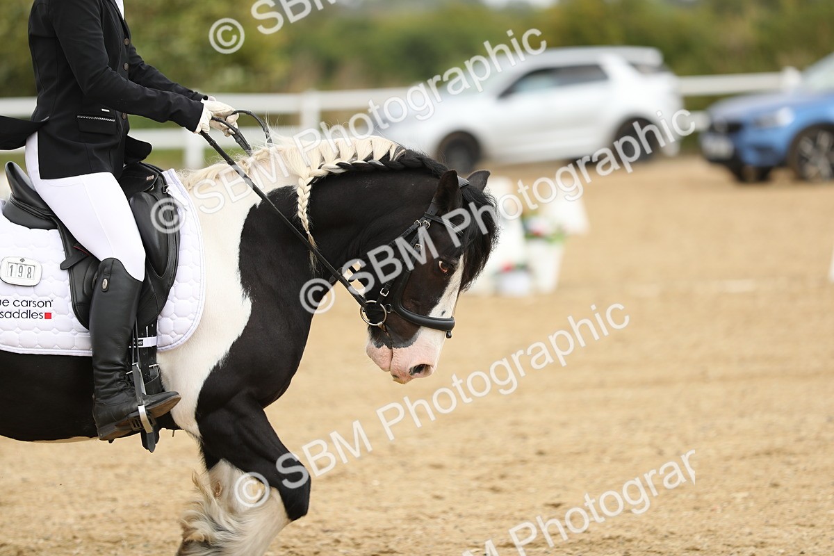 SBM_016448 - Class 13 - Novice 23 - 11.25-12.35